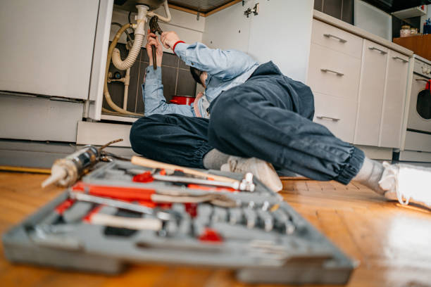 Trusted Island Lake, IL Plumbing Experts