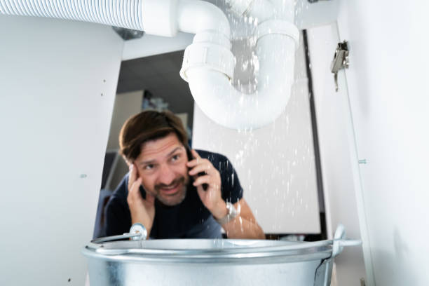 Best Leak Detection Services  in Island Lake, IL