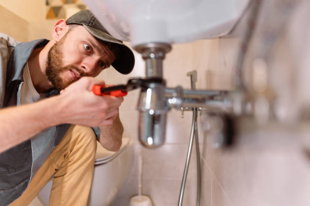 Best Plumbing Inspection Services  in Island Lake, IL