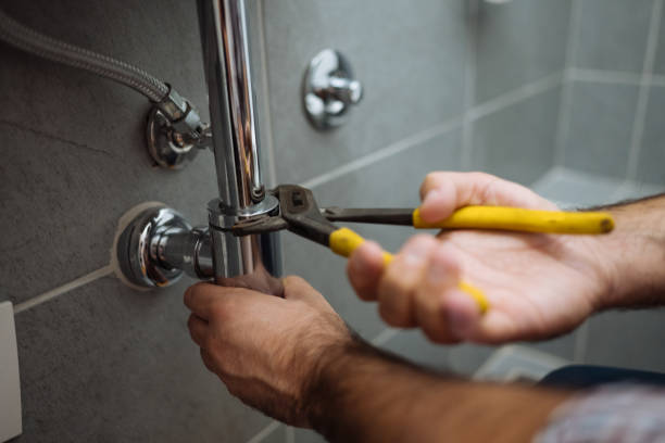 Best Affordable Plumbing Services  in Island Lake, IL