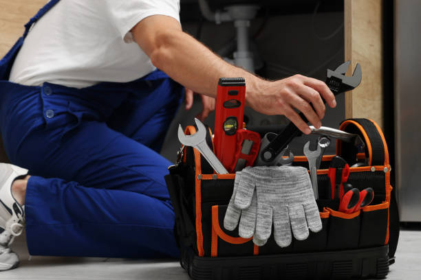 Best Clogged Drain Plumber  in Island Lake, IL