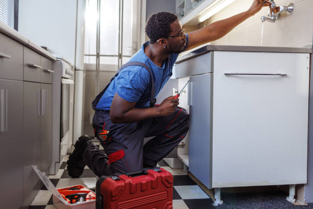 Best Commercial Plumbing Services  in Island Lake, IL